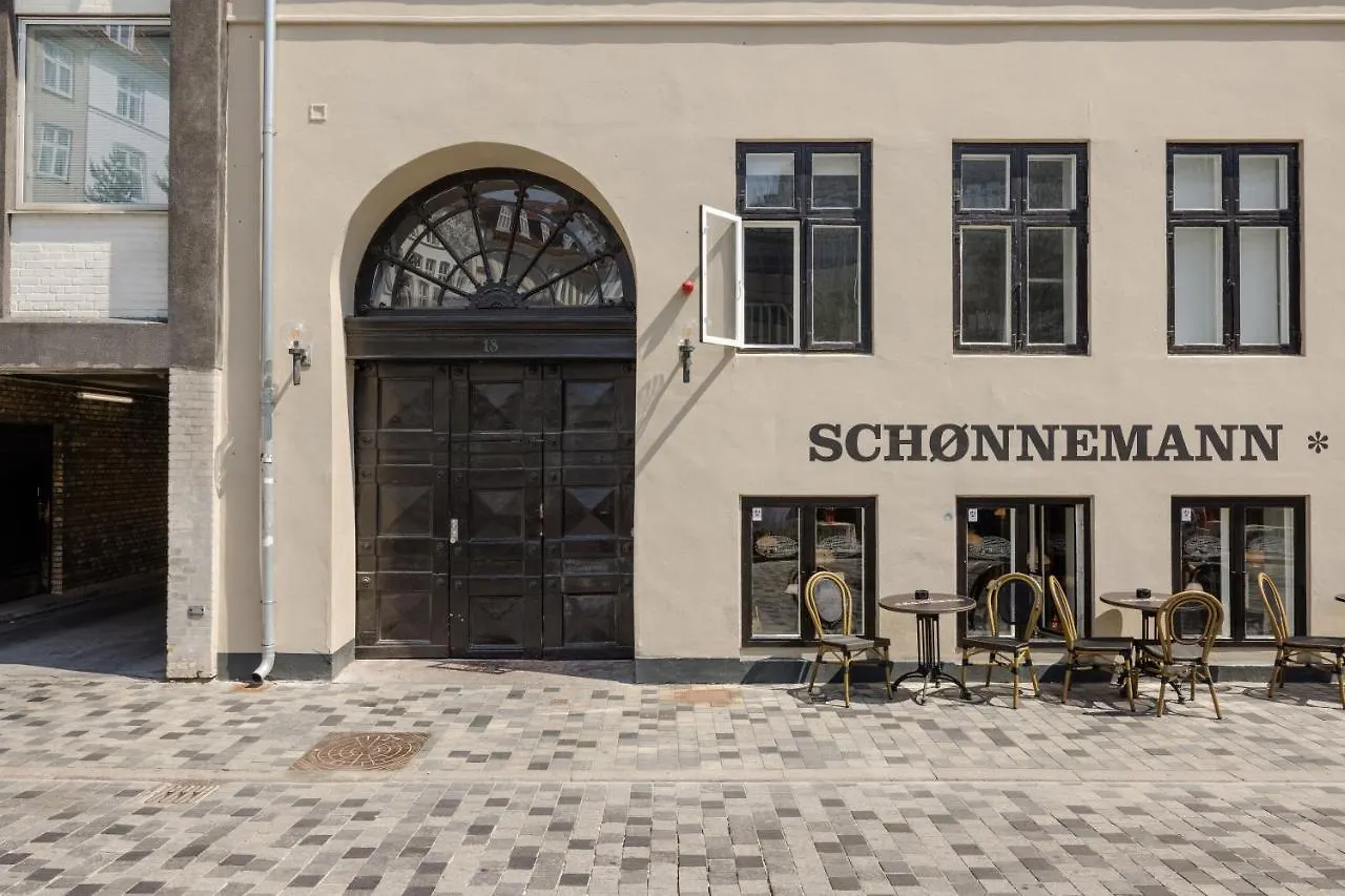 220Sqm Designer Apt - Copenhagen City Center - Private Balcony Denmark